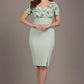 Amorette Printed Pencil Dress 