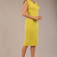 Caprice Cap Sleeved Pencil Dress 