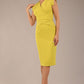 Caprice Cap Sleeved Pencil Dress 