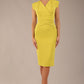 Caprice Cap Sleeved Pencil Dress 