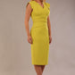 Caprice Cap Sleeved Pencil Dress 