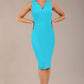 Carrie Sleeveless Pencil Wiggle Dress 