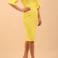 Chiswick Pencil Dress 