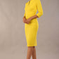 Daphne 3/4 Sleeved Dress 