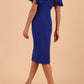 Hermione Sleeveless Pencil Skirt Dress 