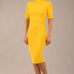 Highmoor Short Sleeved Pencil Dress 
