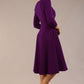January Sleeved Swing Dress 