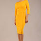 Kinga 3/4 Sleeved Pencil Dress 