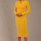 Long Sleeved Lydia Midi Pencil Dress 