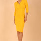 Luna 3/4 Sleeved Pencil Dress 