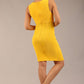 Lydia Sleeveless Mini Dress 