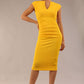Lydia Sleeveless Pencil Dress 