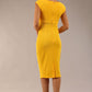 Lydia Sleeveless Pencil Dress 