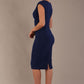 Lydia Sleeveless Pencil Dress 