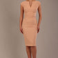Lydia Sleeveless Pencil Dress 