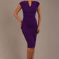 Lydia Sleeveless Pencil Dress 