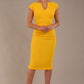 Lydia Sleeveless Pencil Dress 