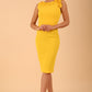 Odessa Pencil Dress 