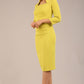 Plaza Trapezium neckline Cutout Pencil Sleeved Dress 