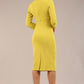 Plaza Trapezium neckline Cutout Pencil Sleeved Dress 