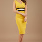 Sabine Colour Block Dress 