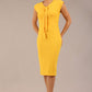 Seed Lucca Tie Detail Cap Sleeved Pencil Dress 