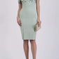Amorette Printed Pencil Dress 