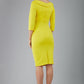 Ionian Sleeved Pencil Skirt Dress 