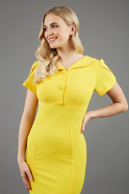 Lupin Pencil Dress 