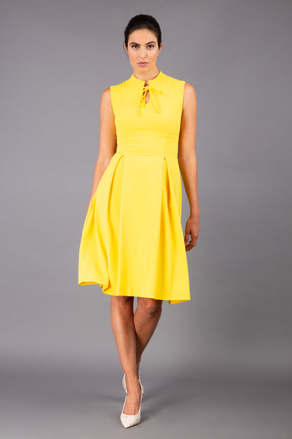 Oceana Swing Dress 