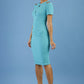 Ruth Pencil Dress 