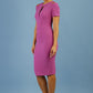 Ruth Pencil Dress 